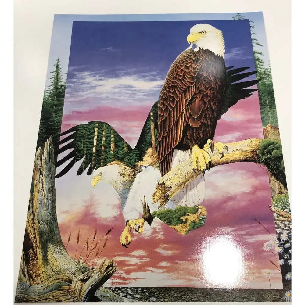 2 Vtg Animal Folders‎ 6 Posters USA Fox Owl Wolves Windows To The Wild 1996